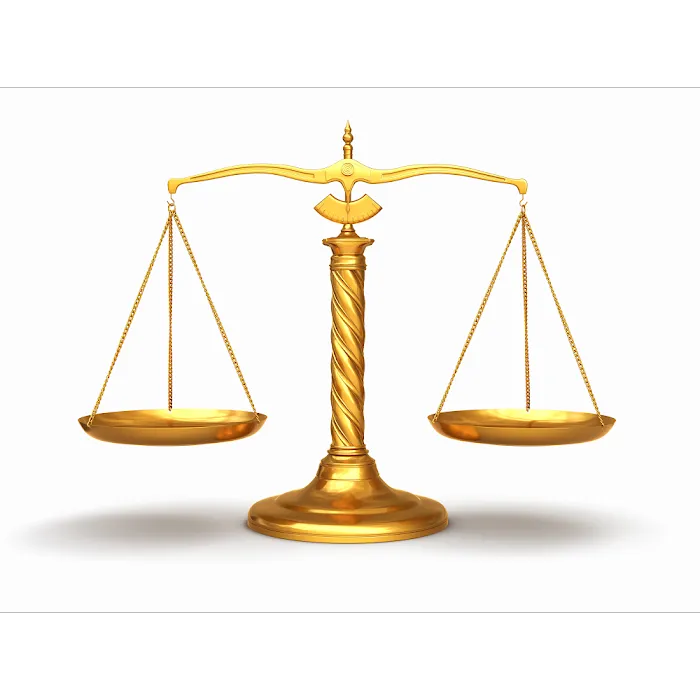 The Stein Law Firm 8
