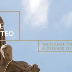 Hannum Feretic Prendergast & Merlino LLC ico