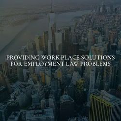 Berlingieri Law, PLLC ico