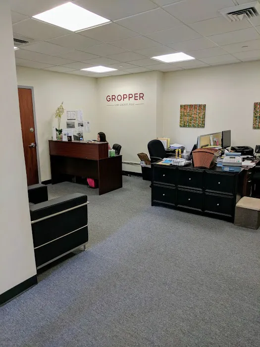Gropper & Nejat, PLLC 0