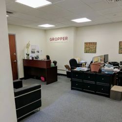 Gropper & Nejat, PLLC ico