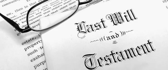 Ferro Law, PLLC (Law Offices of Fermin Manuel Ferro) 7