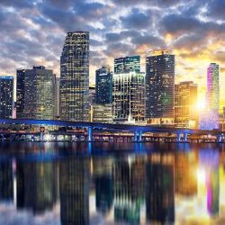 Morgan Legal Group | Estate & Probate Lawyer Miami ico