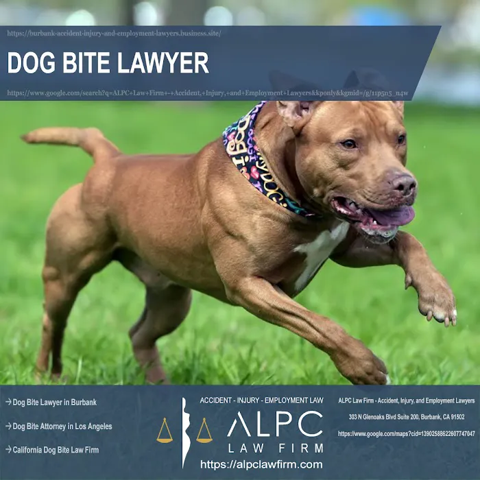 ALPC Law Firm - Accident, Injury, and Employment Lawyers 7
