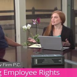 The Schlehr Law Firm, P.C. ico