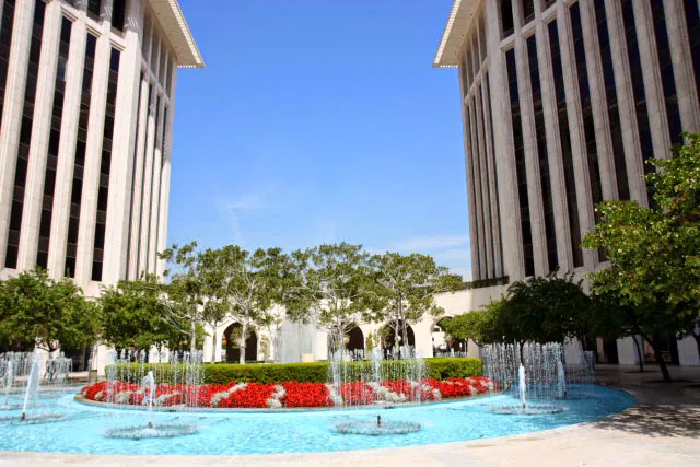 canady + lortz LLP 0