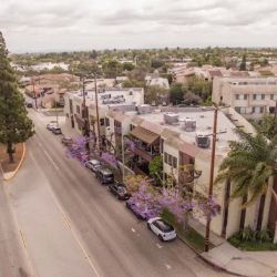 Larry H. Parker Accident Attorneys ico
