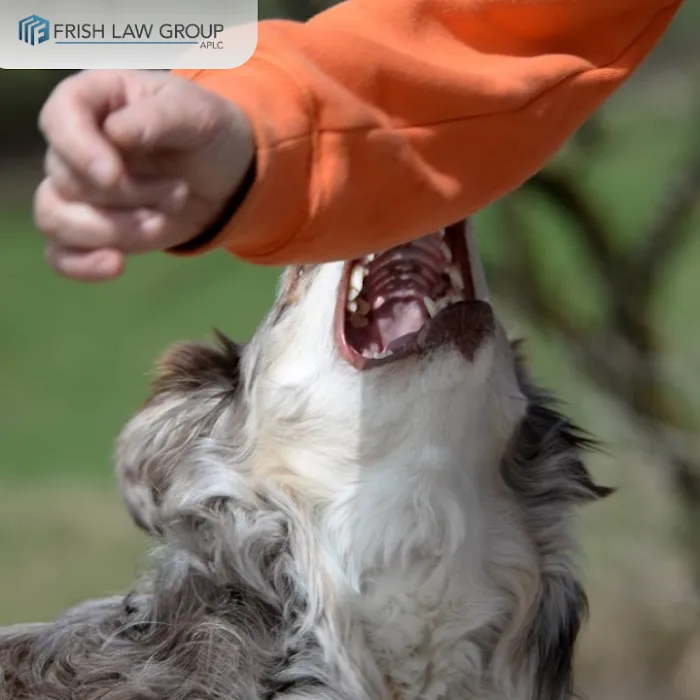 Frish Law Group, APLC | Personal Injury Attorney Los Angeles 5