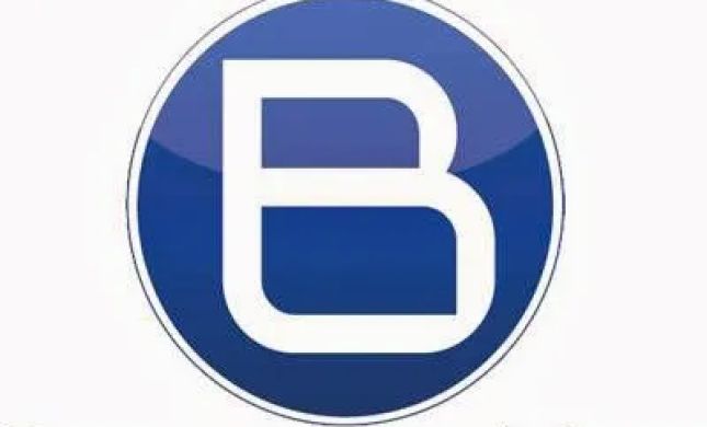 Bismark Tax, Inc.