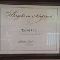 Law Offices of Karen S. Law PLC (Lawadoption) ico