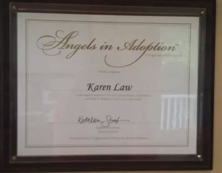 Law Offices of Karen S. Law PLC (Lawadoption)