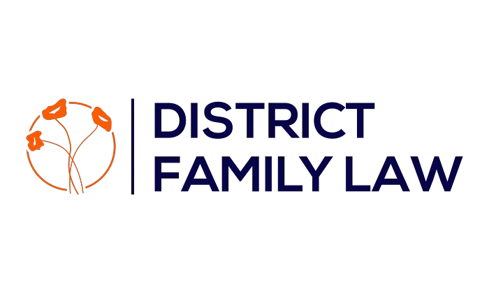 District Family Law 0