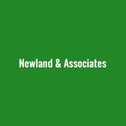 Newland & Associates ico
