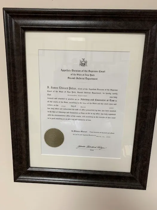 Bibicheff & Associates PC: Александр Бибичев 3
