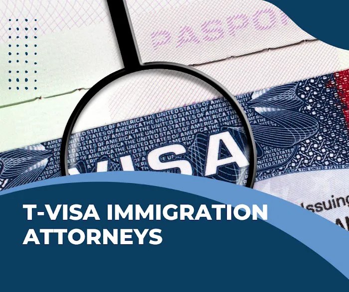 Carlsen Immigration PLLC 8