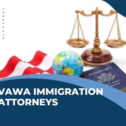 Carlsen Immigration PLLC ico