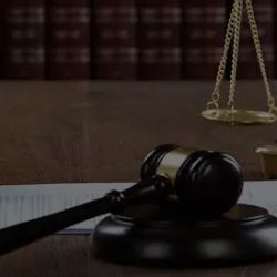 Law Office of Vanessa Jaleh Bravo P.A. ico