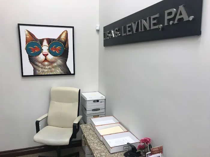 Lisa S. Levine P.A. 1