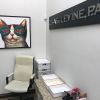 lisa levine attorney