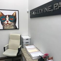 Lisa S. Levine P.A. ico