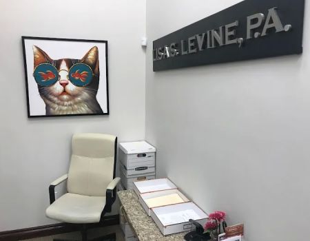 Lisa S. Levine P.A.