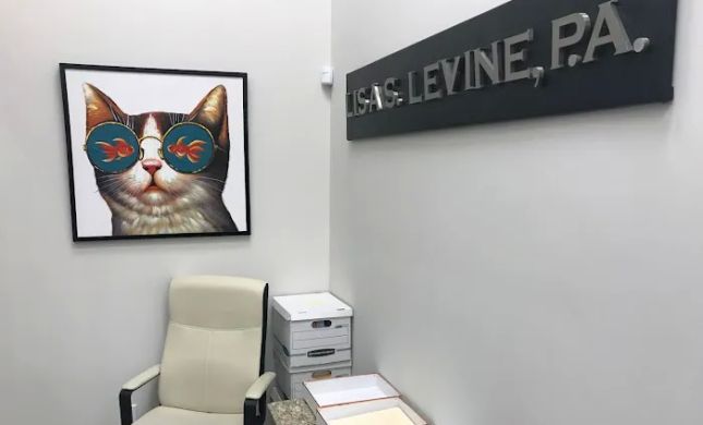 Lisa S. Levine P.A.