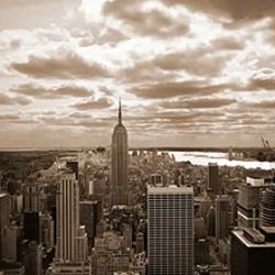 Michael F. Schwartz, ESQ. ico