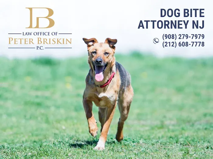 Law Office of Peter Briskin, P.C. - Abogado de Accidentes de Nueva York 1
