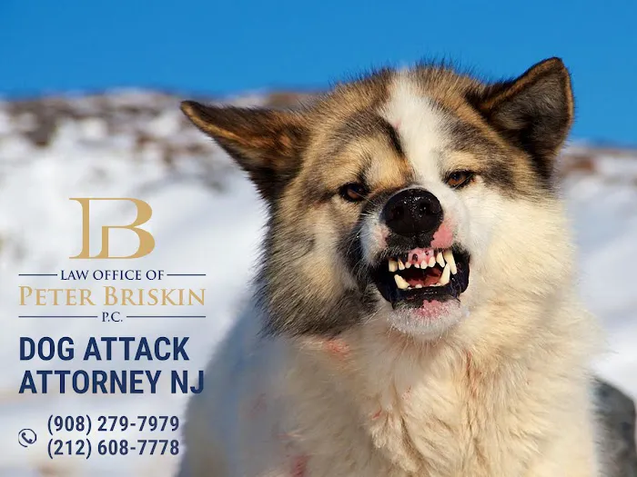 Law Office of Peter Briskin, P.C. - Abogado de Accidentes de Nueva York 2