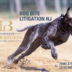 Law Office of Peter Briskin, P.C. - Abogado de Accidentes de Nueva York ico