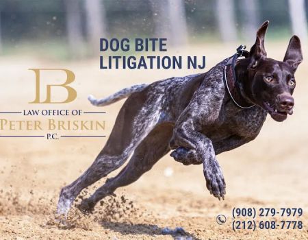 Law Office of Peter Briskin, P.C. - Abogado de Accidentes de Nueva York