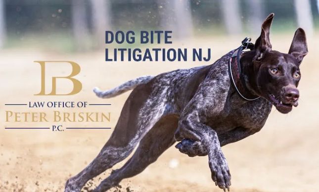 Law Office of Peter Briskin, P.C. - Abogado de Accidentes de Nueva York