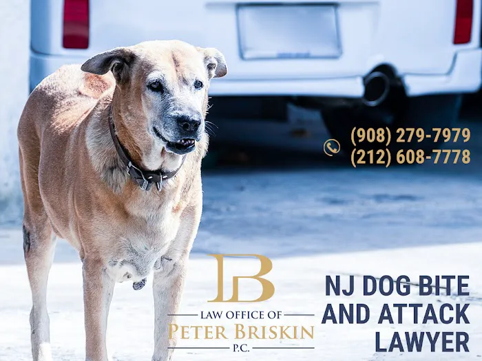 Law Office of Peter Briskin, P.C. - Abogado de Accidentes de Nueva York 5