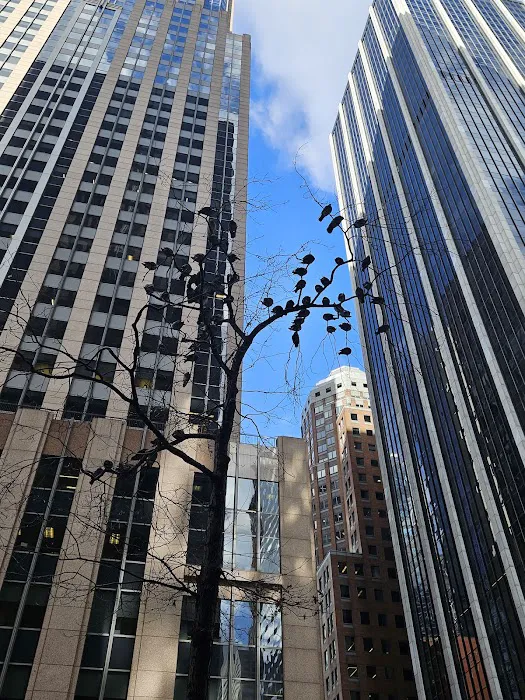 Goidel & Siegel LLP 0
