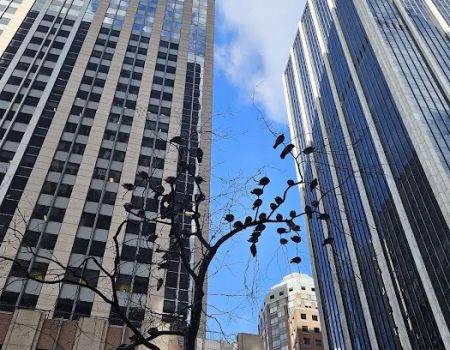 Goidel & Siegel LLP