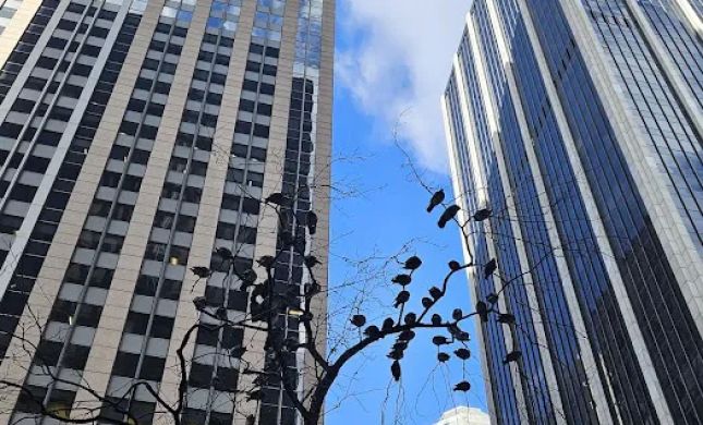 Goidel & Siegel LLP