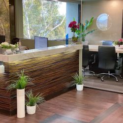 California Business Lawyer & Corporate Lawyer ico