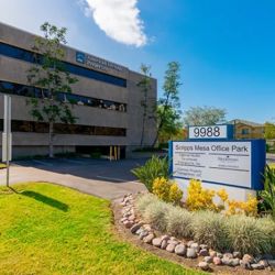 The Gould Firm ico