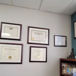 Peter M. Liss, Attorney at Law ico