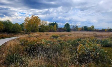 Landing At Cherry Creek