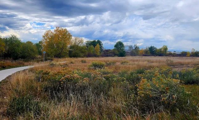 Landing At Cherry Creek