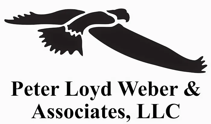 Peter Loyd Weber & Associates, LLC 1