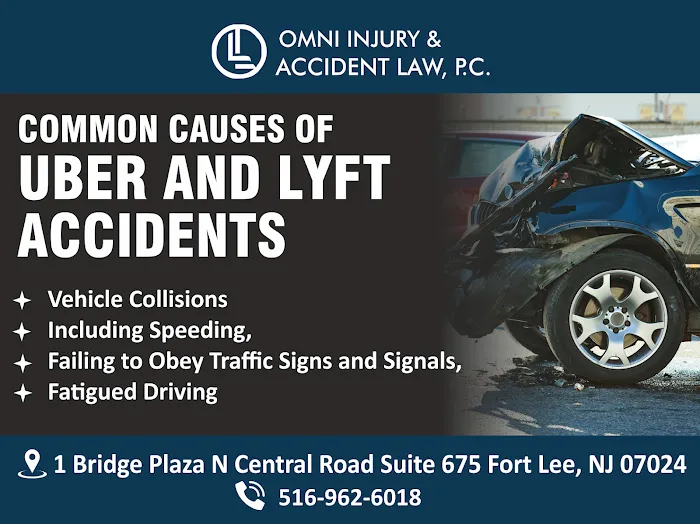Omni Injury and Accident Law, P.C. 4
