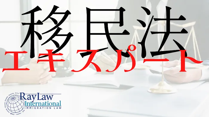Ray Law International 6