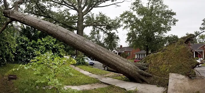 Florida Hurricane Insurance Claims Attorneys 0