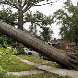 Florida Hurricane Insurance Claims Attorneys ico