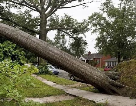 Florida Hurricane Insurance Claims Attorneys
