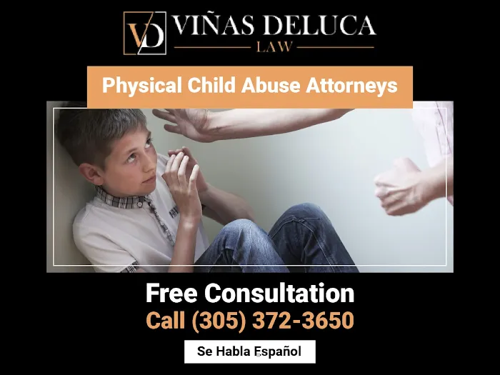 Viñas & DeLuca, PLLC 3