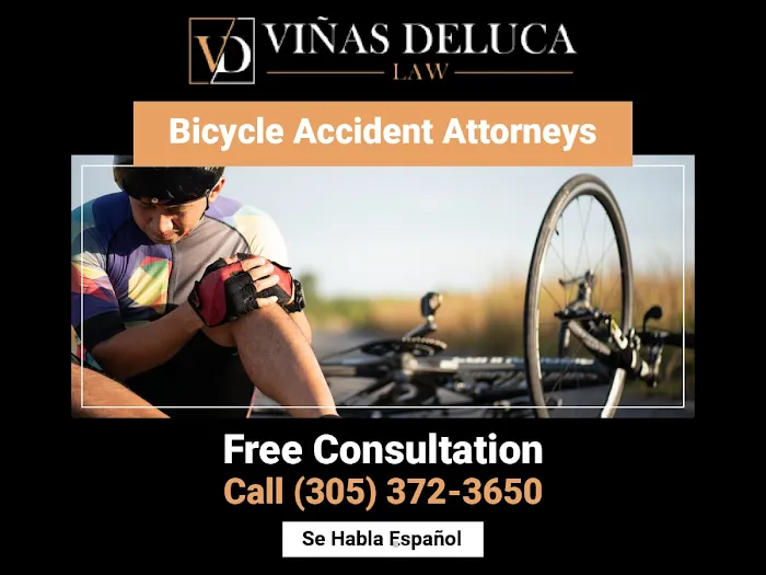 Viñas & DeLuca, PLLC 2