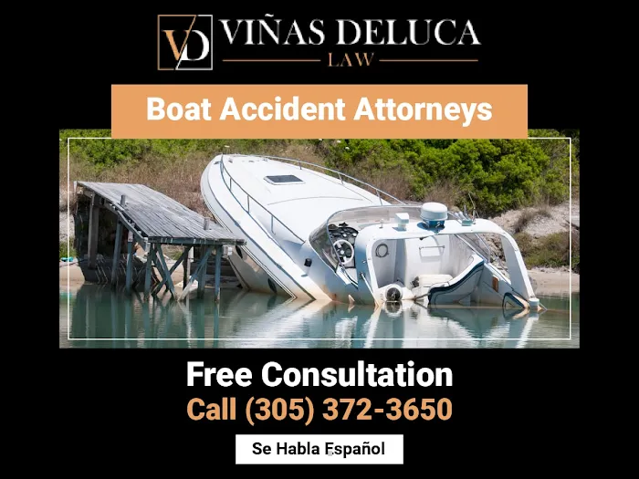 Viñas & DeLuca, PLLC 4
